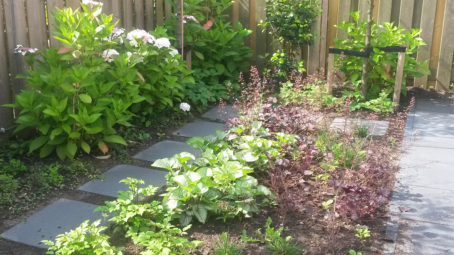 Beplanting na 3 maanden